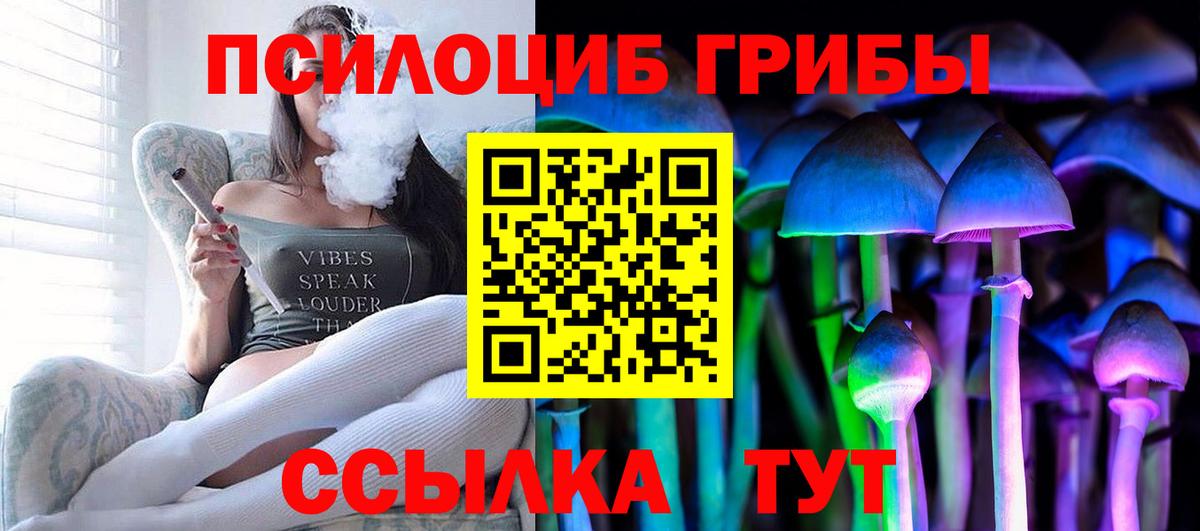 Псилоцибиновые грибы Cubensis Донской